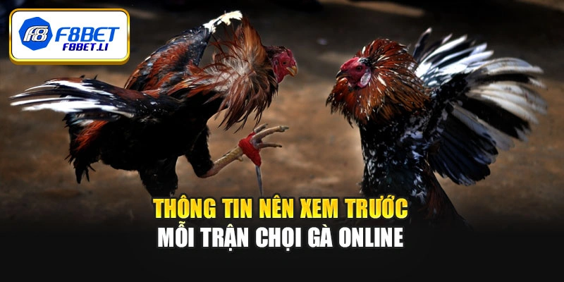 Thông tin nên xem trước mỗi trận chọi gà online